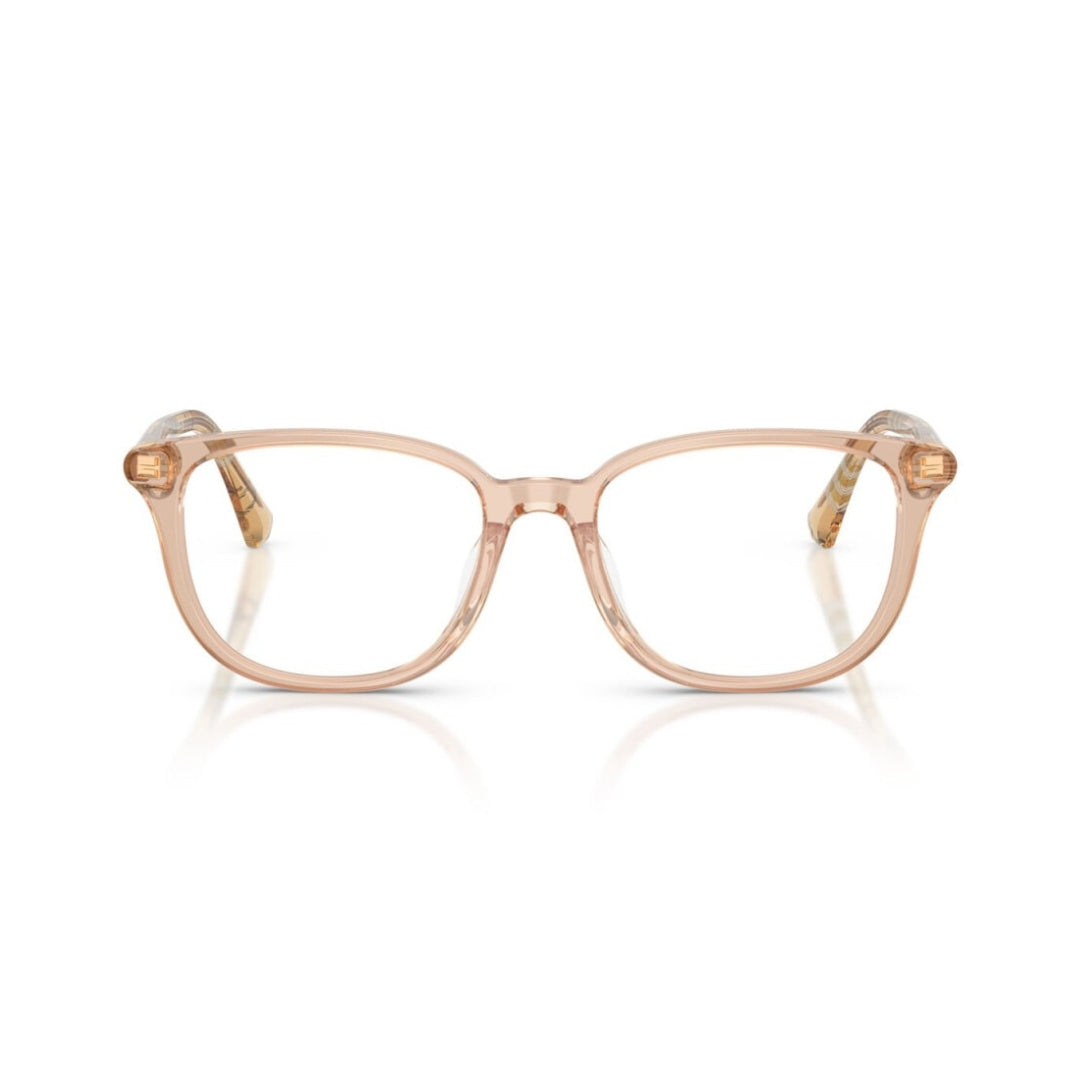 BURBERRY 2434D 4175 53