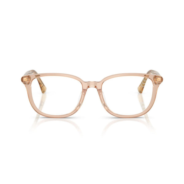 BURBERRY 2434D 4175 53