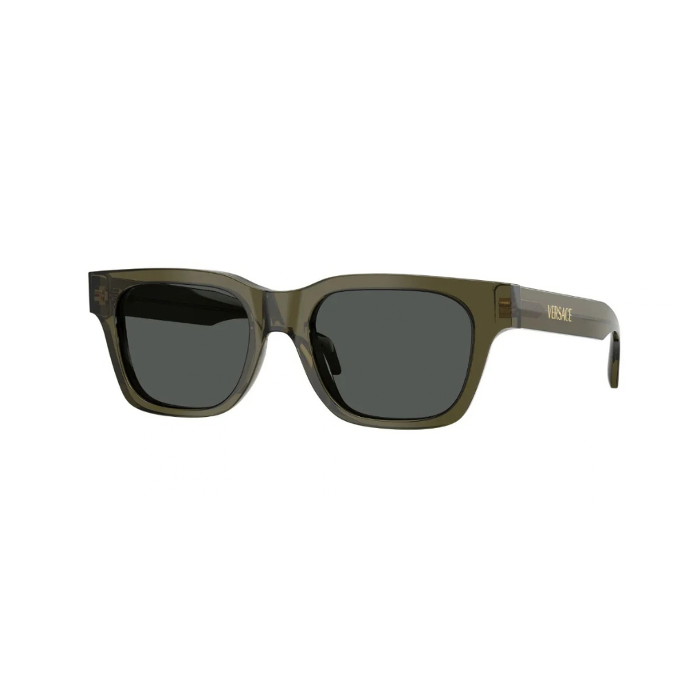 VERSACE 0VE 4486 5542/87 52
