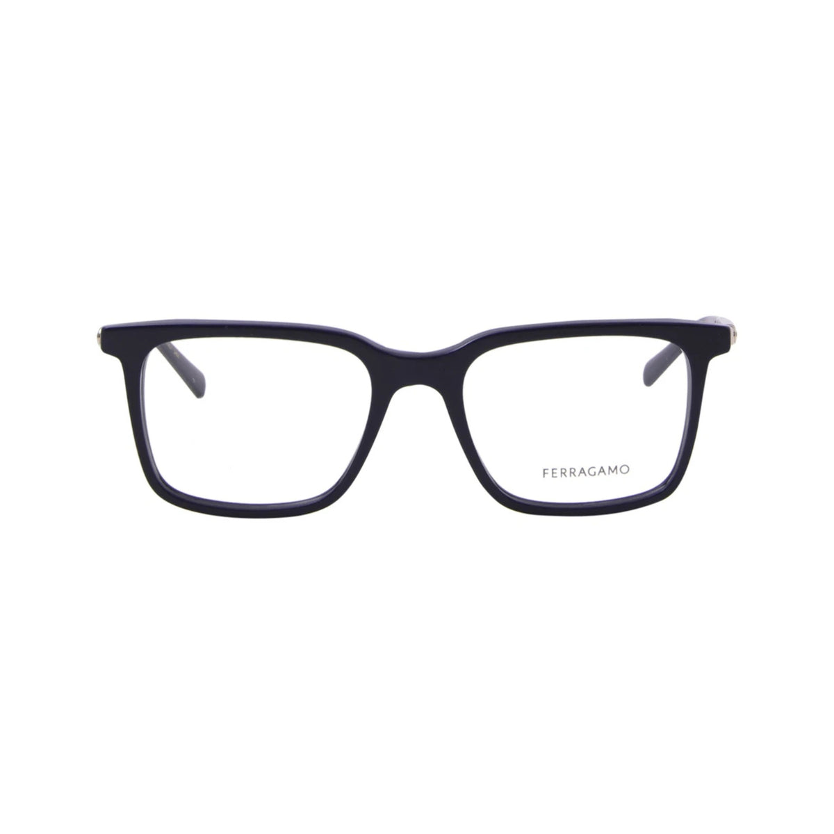 FERRAGAMO SF 2969 414 53