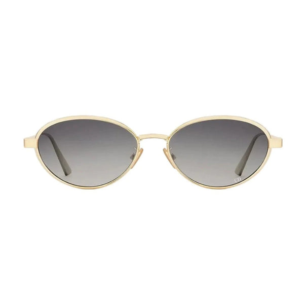 DIOR CANNAGE R1U B0A1 53