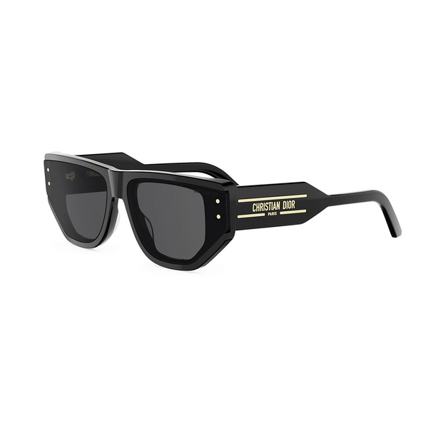 DIOR SIGNATURE S15I 10AO 64