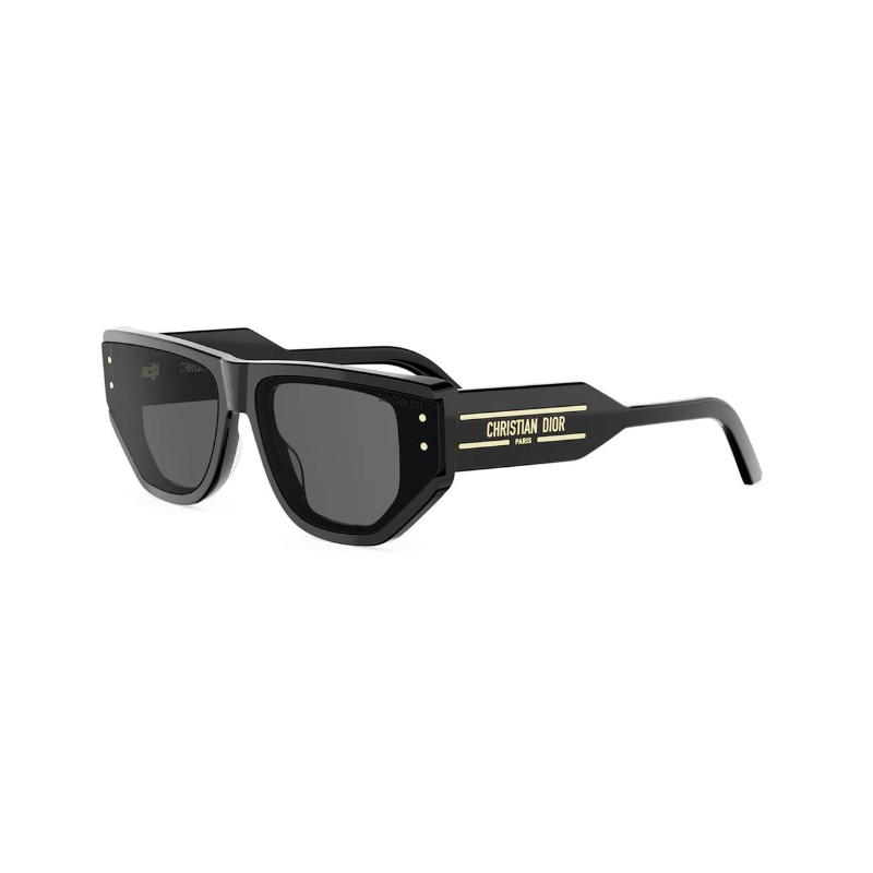 DIOR SIGNATURE S15I 10A0 64