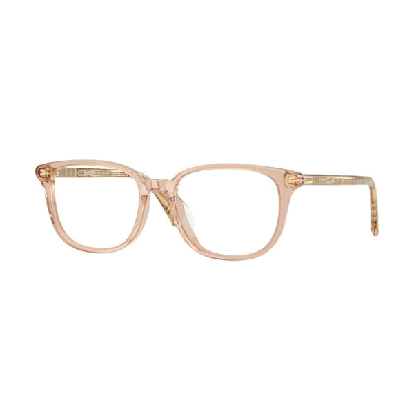 BURBERRY 2434D 4175 53
