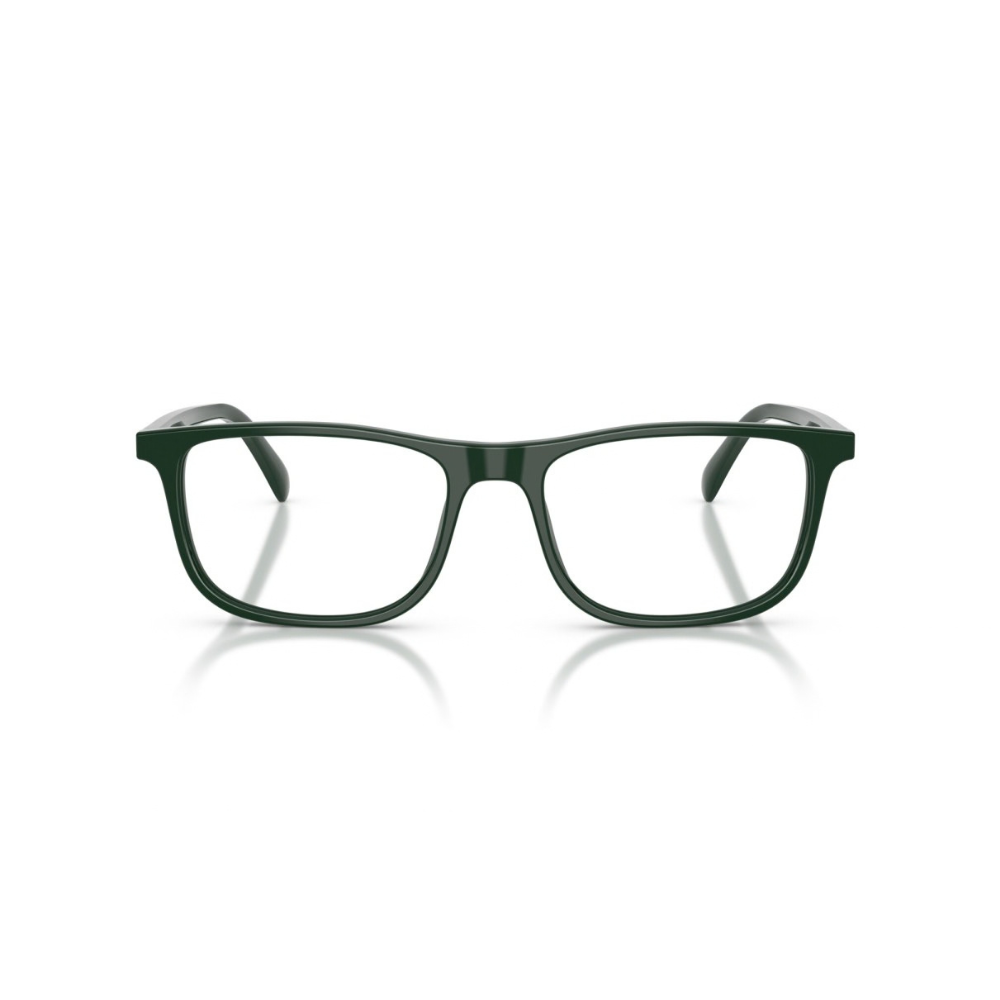 EMPORIO ARMANI EA 3287 6173 56