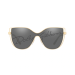 DOLCE & GABBANA DG2236 02/87 59